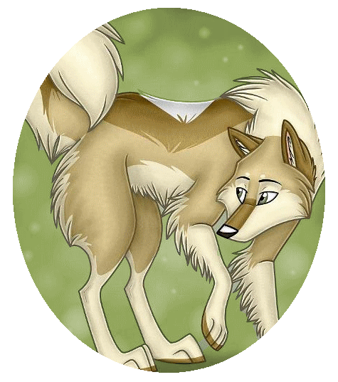 .:.:Köpek Severlerin Buluştuğu Forum:.:.