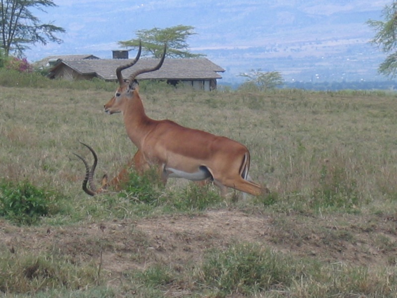 voyage au kenya Kenya_25