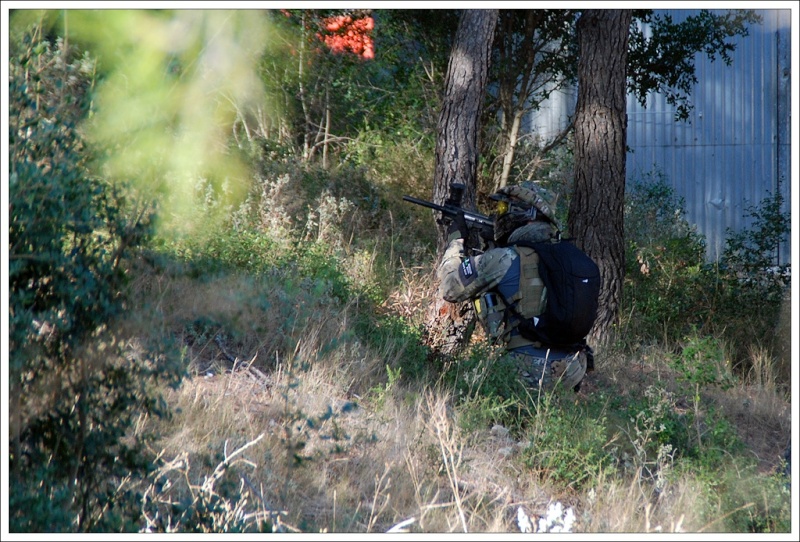 photos de l OP ' spider nest '  Mola7_10