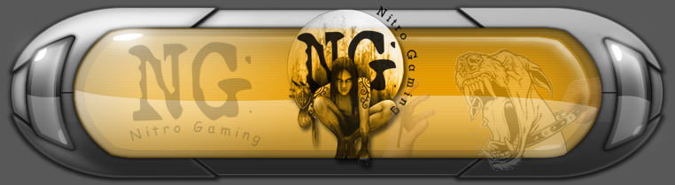 nitro-gaming -  Logo-310