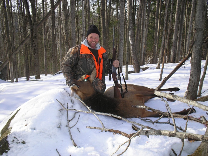 **Tirage chasse au wapiti** Wapiti10