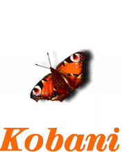 BAJAR KOBAN Kobani10