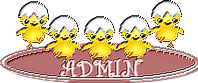 Admin Admin