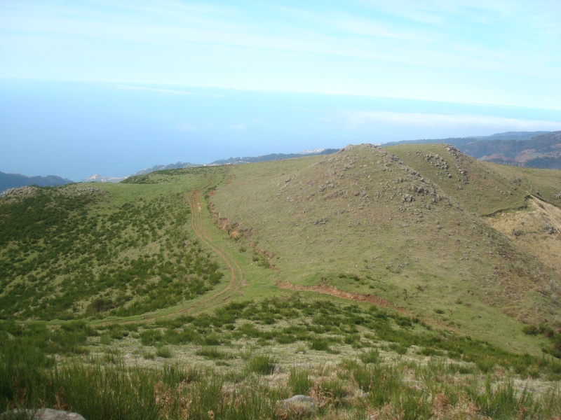 Boas desde a Ilha da Madeira Dsc00818