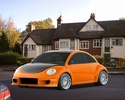 VW New Beetle Vw_bro12