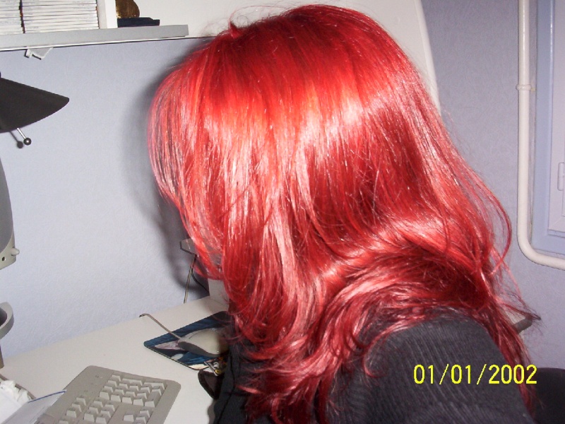 Galerie de Cheveux Rouges poil aux courges 0610