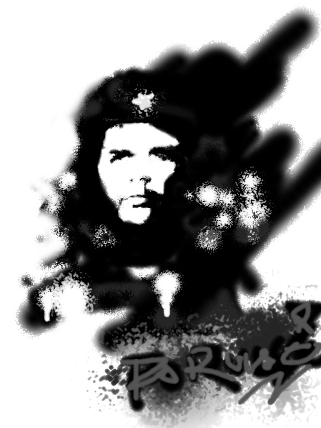Che Guevara Graphi16