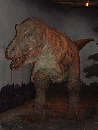 Extinct Animals T-rex210