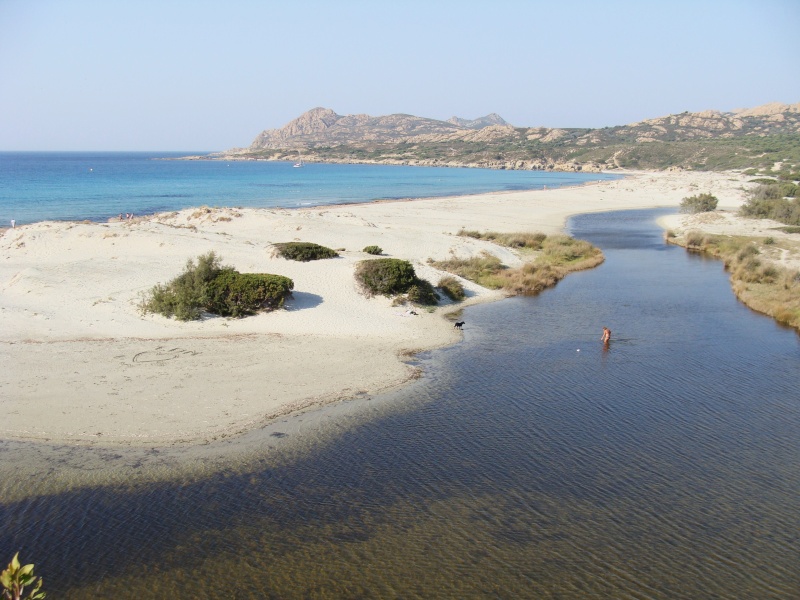 PHOTOS: BALADE en Balagne et Cap corse Dsc04010