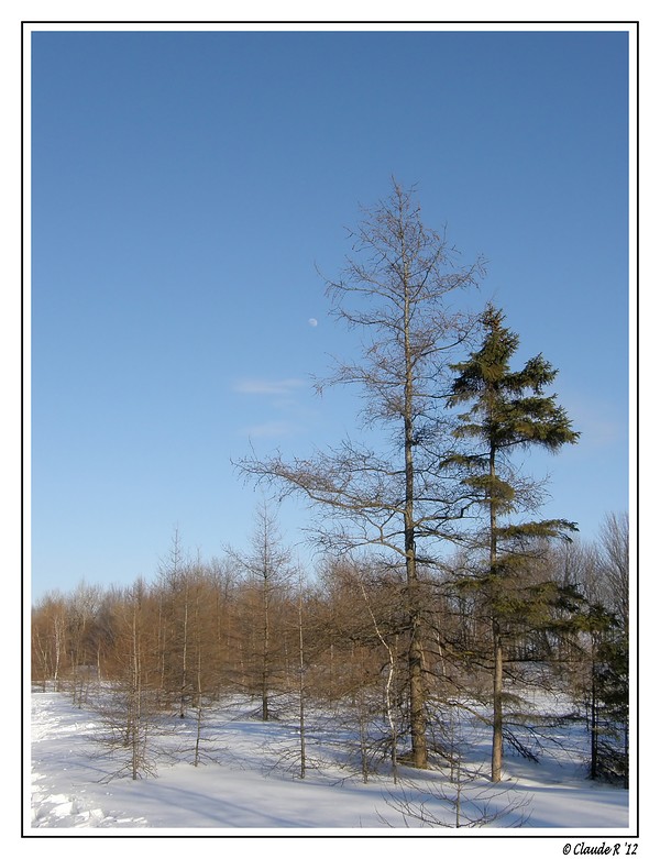 Journée d'hiver Journa10