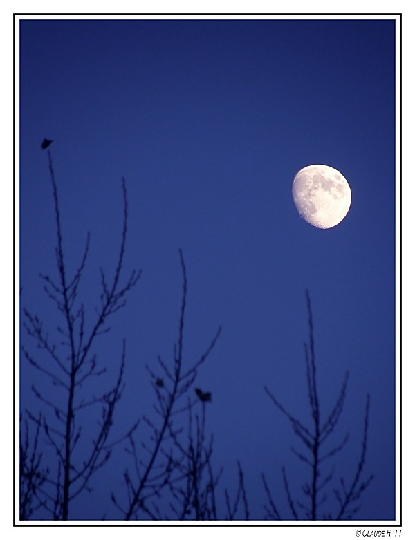 Lune d'automne Lune10