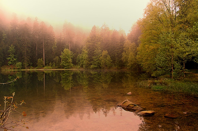 Lacs des Vosges FRANCE Lac_de10