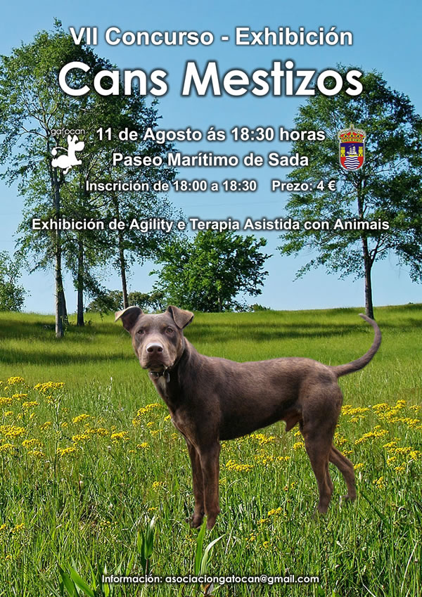 Concurso de Perros Mestizos el 11 de agosto Cartel15