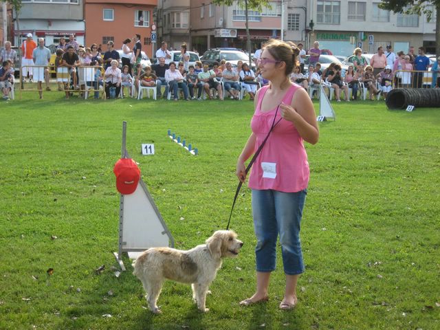 Concurso de perros mestizos el 13 de agosto Img_2426