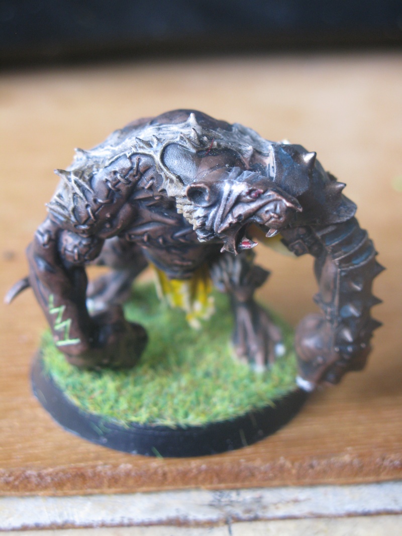 [Blood Bowl] Moonfang Stalkers , Mes skavens . Img_2019