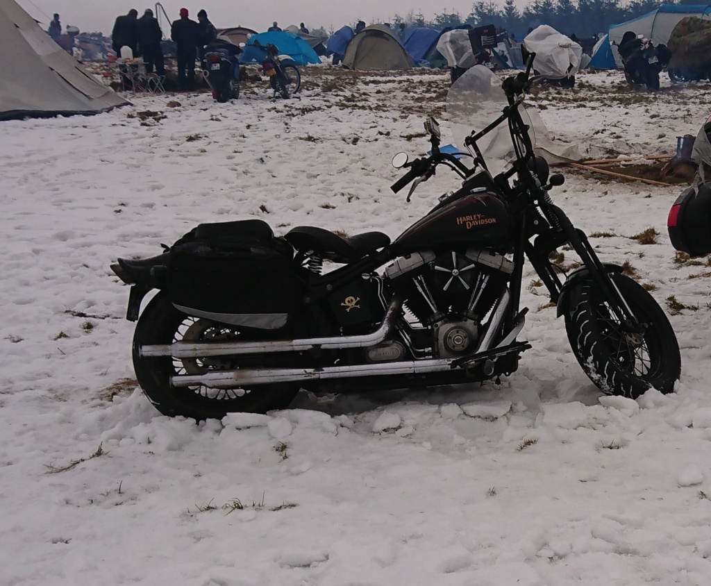 Softail CROSS BONES Cb_sno10