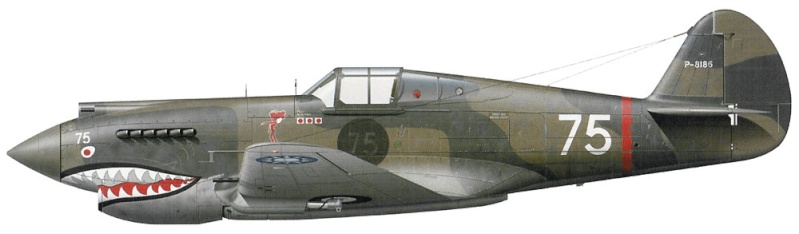 Curtiss P-40B - encore un Flying Tigers !! - Airfix - 1/72ème - Page 3 10_3110