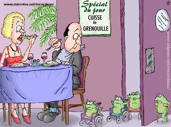 Humour en image ... - Page 27 Grenou10