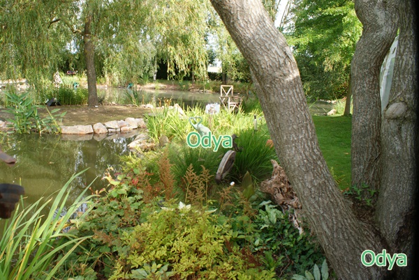  Fête des Plantes au Jardin Secret du Grand Boulay Dsc04824