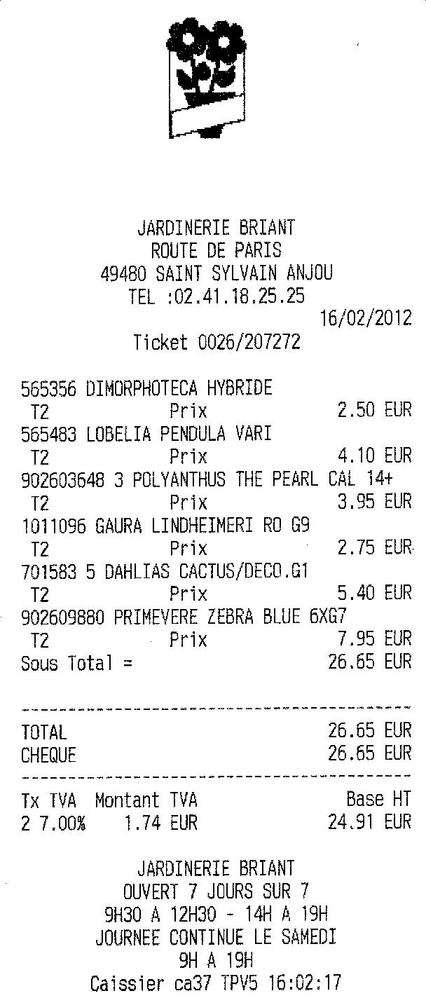 PRIMEVERE ZEBRA BLUE  Ticket10