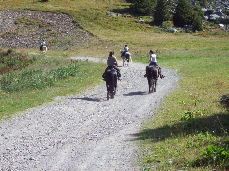 Découverte de Belledonne le 20 et 21 août - Page 10 100_1319