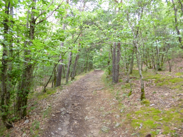 entre Ardêche et Haute Loire P1000152