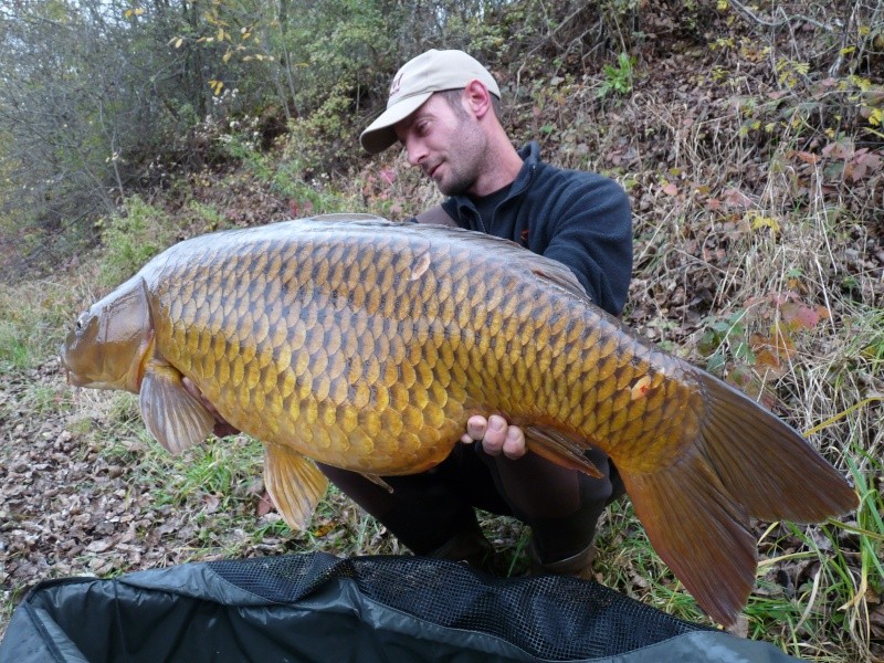 Quelle poisson vous a marquez le plus durant cette année 2011 ? - Page 2 P1070411