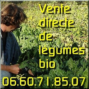 Local - Var - vente de fruits & légumes bio - zone Tourves-Brignoles-St Maximin  Logo-b10