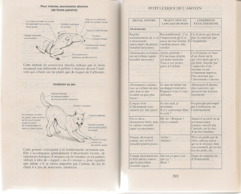 ethologie canine - Page 2 Numari12