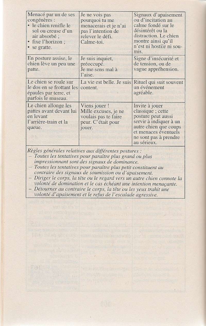 ethologie canine - Page 2 Numari18