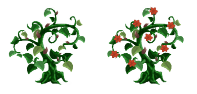 Création de Drace Plante10