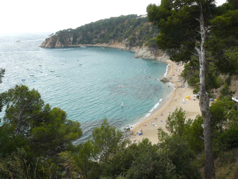 Maximus sur la Costa Brava P1020713