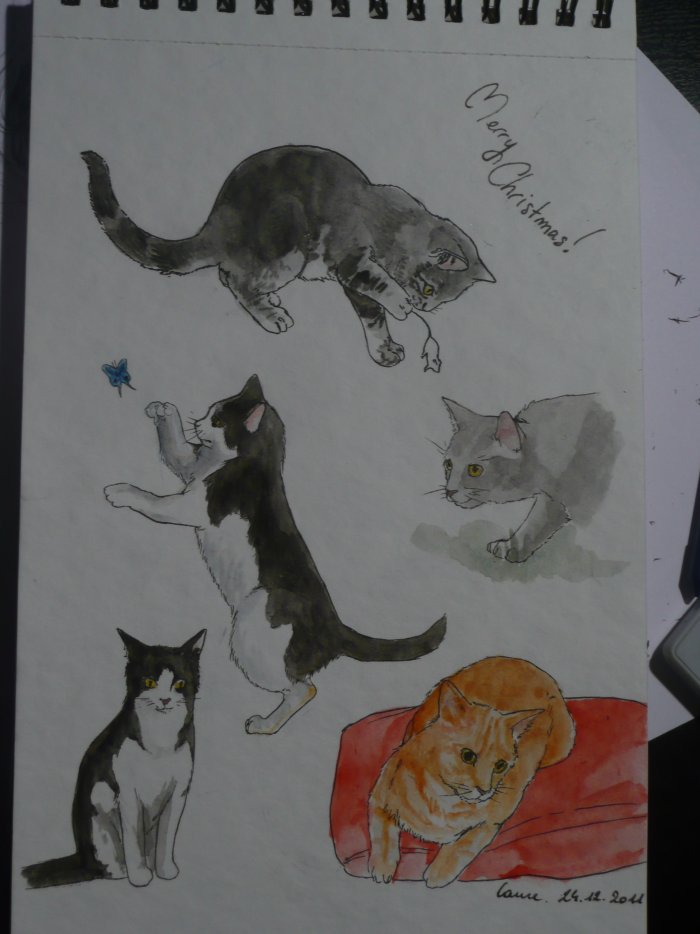 Je dessine aussi des animaux ♪ Chat_r10
