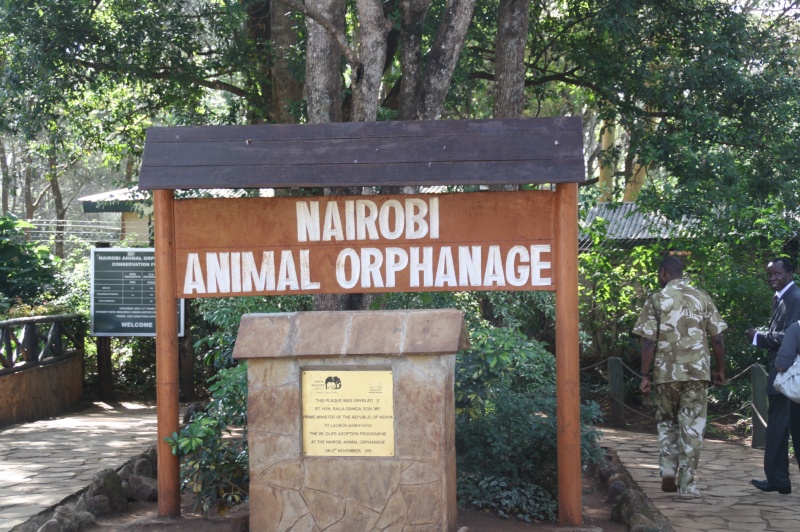 Kenya Daphne Sheldrick's Elephant Orphanage - Pagina 7 Img_0510