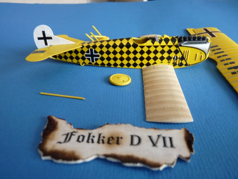 Fokker DVII - Page 2 P1020250
