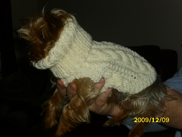 Hand knitted dog coat 00910