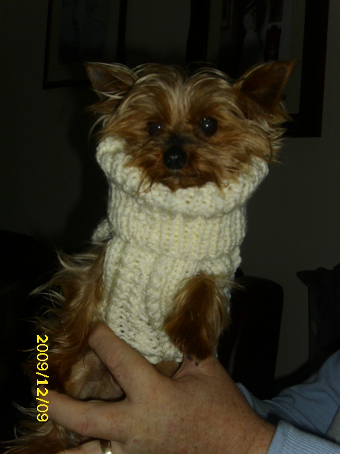 Hand knitted dog coat 010-110