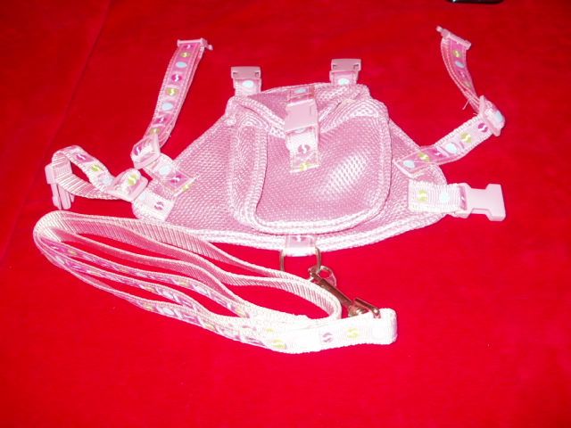 19 - PINK HARNESS WITH BAG ON BACK Feb_au23