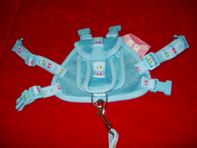 20 - BLUE HARNESS WITH BAG ON BACK Feb_au25