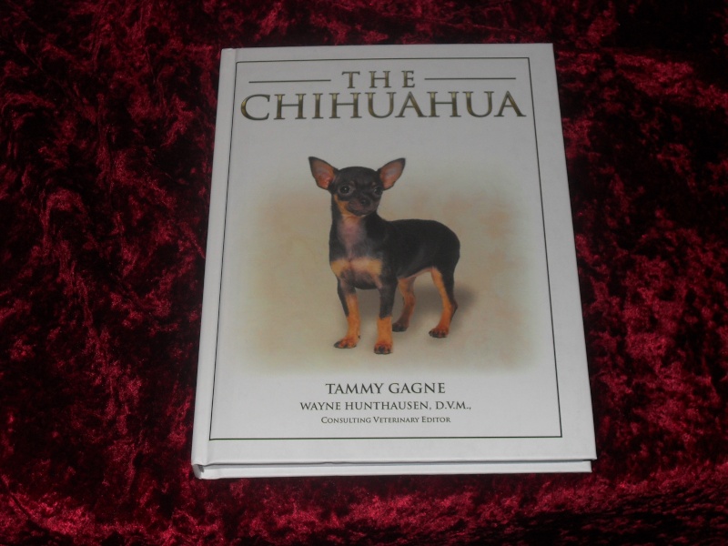 Book of Chihuahua's Xmas_040
