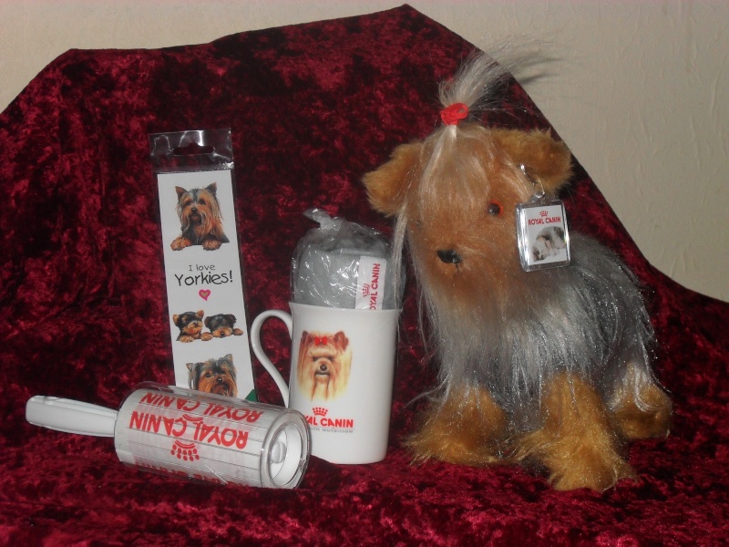 Royal Canin Gift Set Xmas_043