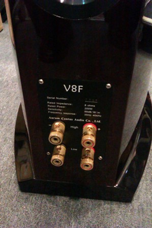 Aurum cantus loudspeaker V8F (SOLD) Ac310