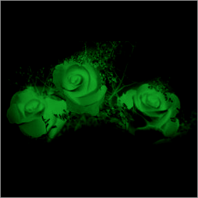 La fleur de Rose Vert10