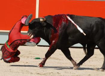Conchi Rios, la torera espagnole se fait encorner. Encorn10