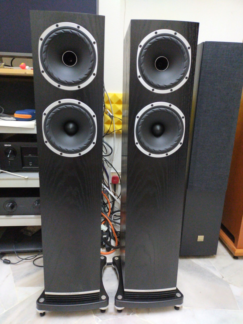 Fyne Audio F501 Floorstand Speaker  Img20231