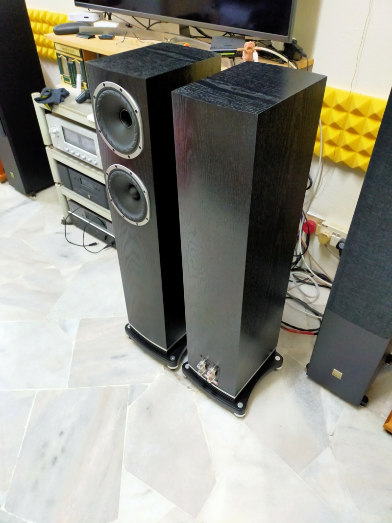 Fyne Audio F501 Floorstand Speaker  Img20232