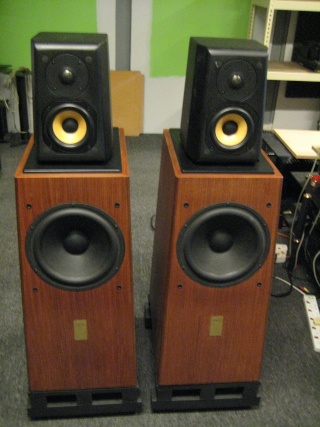 Aerial Acoustics 10T speaker(used) Img_2068