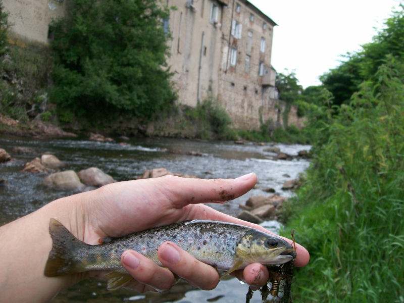 études des poissons du Furan 100_2114