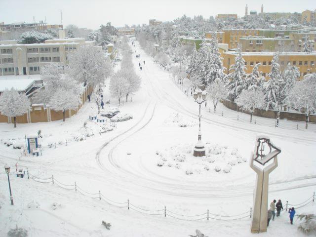 Alger sous la neige Madaa10