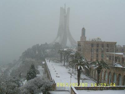 Alger sous la neige Munume10